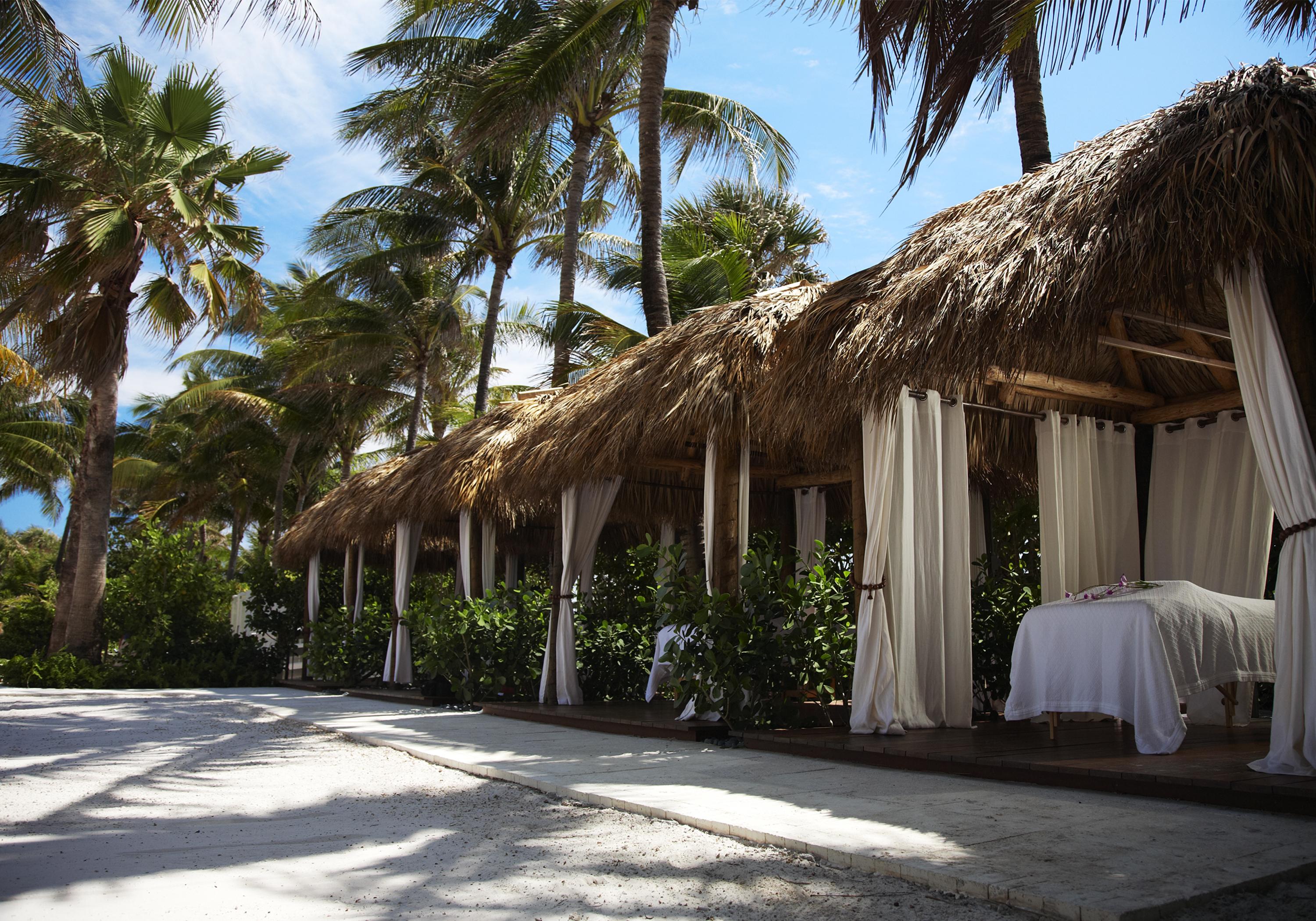 The Palms Hotel & Spa Miami Beach Facilités photo